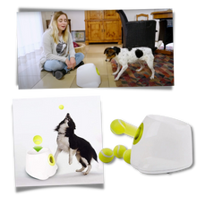 Carica l&#39;immagine nel visualizzatore di Gallery, Lanciatore automatico di palline per cani - Ozerty

