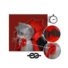 Load image into Gallery viewer, Costume di Halloween per animali domestici da Dracula - Ozerty
