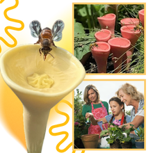 Load image into Gallery viewer, Coppa per api discreta, Attraente e Colorata - Ozerty
