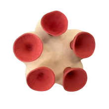 Load image into Gallery viewer, Coppa per api discreta, Attraente e Colorata -Rosso - Ozerty
