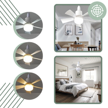 Carica l&#39;immagine nel visualizzatore di Gallery, Lampada per ventilatore con zoccolo E27 - Ozerty
