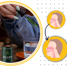 Carica l&#39;immagine nel visualizzatore di Gallery, Mullein senza glutine per la salute dei polmoni - Ozerty
