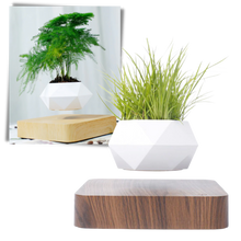 Load image into Gallery viewer, Vaso per piante fluttuante - Ozerty
