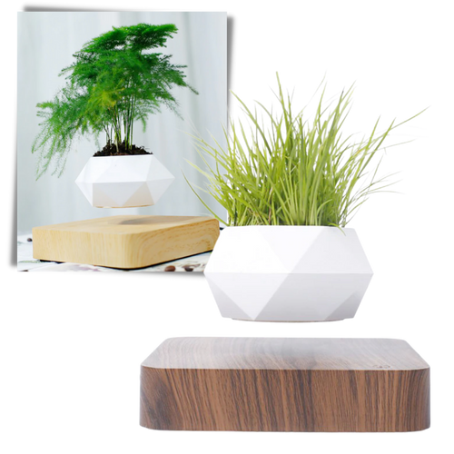 Vaso per piante fluttuante - Ozerty