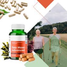 Load image into Gallery viewer, Integratore di Erbe Marine - Ozerty
