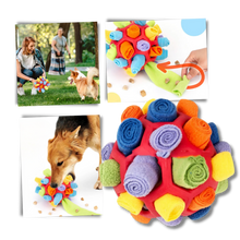 Load image into Gallery viewer, Stimolatore mentale Palla da Fiuto - Ozerty
