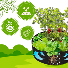 Load image into Gallery viewer, Sacchetti traspiranti multiuso per la semina - Ozerty
