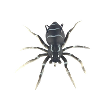 Load image into Gallery viewer, Esche ragno a movimento naturale -Nero - Ozerty
