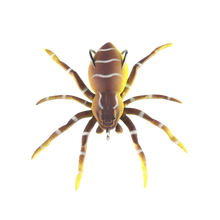 Load image into Gallery viewer, Esche ragno a movimento naturale -Marrone - Ozerty
