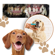 Load image into Gallery viewer, Gel Orale per Animali Domestici - Ozerty
