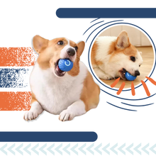 Carica l&#39;immagine nel visualizzatore di Gallery, Palla intelligente anti-ostacoli per cani - Ozerty
