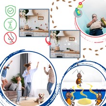 Carica l&#39;immagine nel visualizzatore di Gallery, Trappole per scarafaggi inodore - Ozerty
