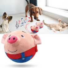Carica l&#39;immagine nel visualizzatore di Gallery, Palla Giocattolo con Sensore per Animali Domestici - Ozerty
