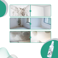 Load image into Gallery viewer, Potente Spray Rimuovi Muffa - Ozerty
