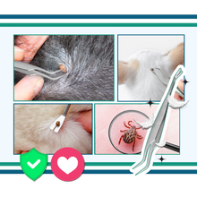 Load image into Gallery viewer, Estrattore di zecche di precisione - Ozerty
