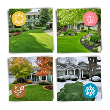 Load image into Gallery viewer, Tappetino di semi di erba verde a fissaggio rapido - Ozerty
