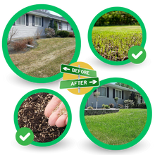 Load image into Gallery viewer, Tappetino di semi di erba verde a fissaggio rapido - Ozerty
