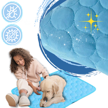 Load image into Gallery viewer, Cuscinetto di raffreddamento per animali domestici in seta - Ozerty
