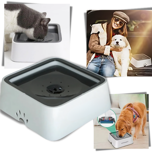 Fontanella per Cani Anti-Schizzo - Ozerty