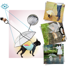 Carica l&#39;immagine nel visualizzatore di Gallery, Guinzaglio a Ombrello Trasparente per Cani - Ozerty
