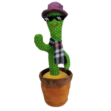 Load image into Gallery viewer, Pappagallo cactus parlante
